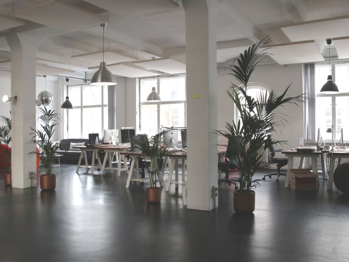 Daylit office with large windows and glass partitions