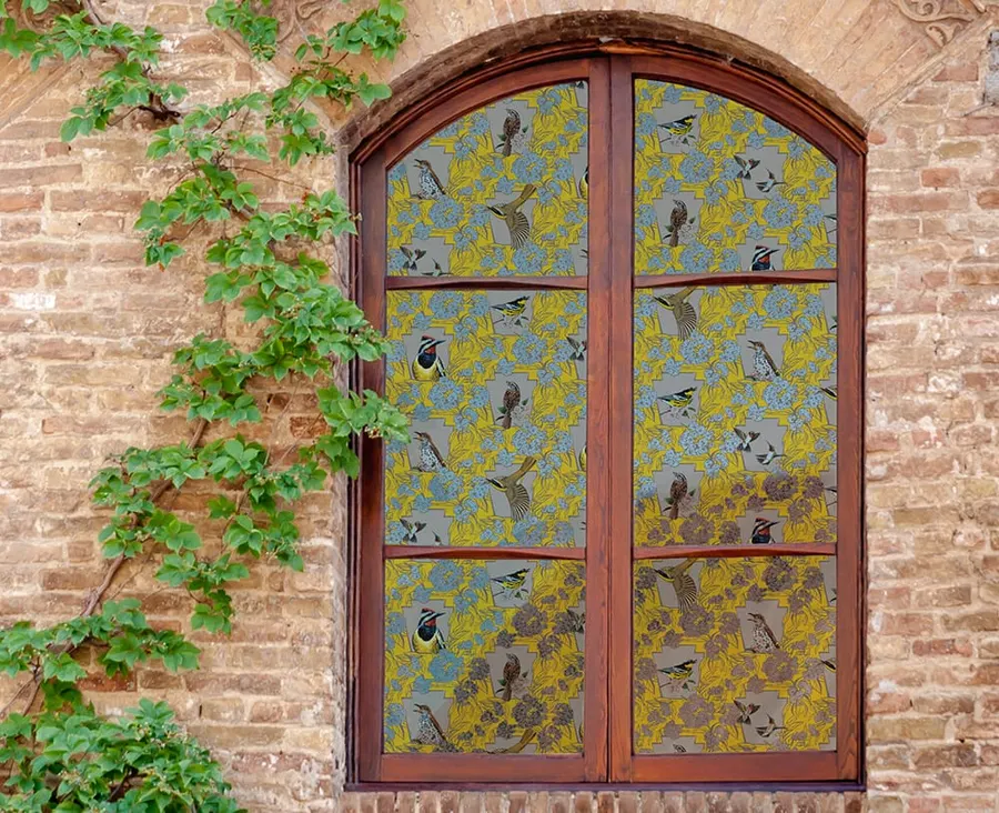 Color Bird Safety Film - Ashley Cecil — More designs decorative window film for Calgary glass