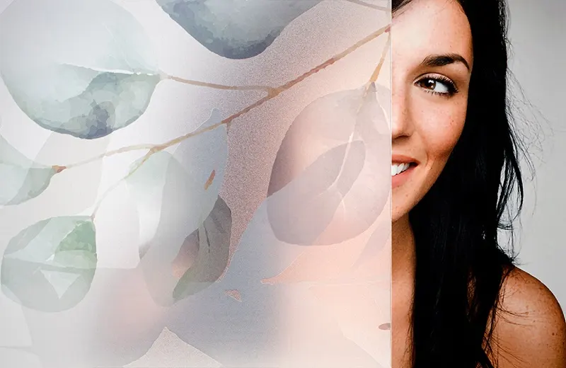 Eucalyptus — Organic decorative window film for Calgary glass
