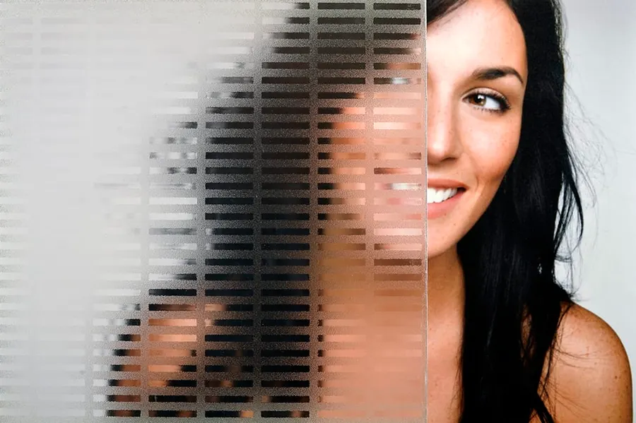 Master Ray — Frosted patterns decorative window film for Calgary glass