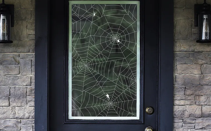 Spider Webs — Pictorial & scenes decorative window film for Calgary glass