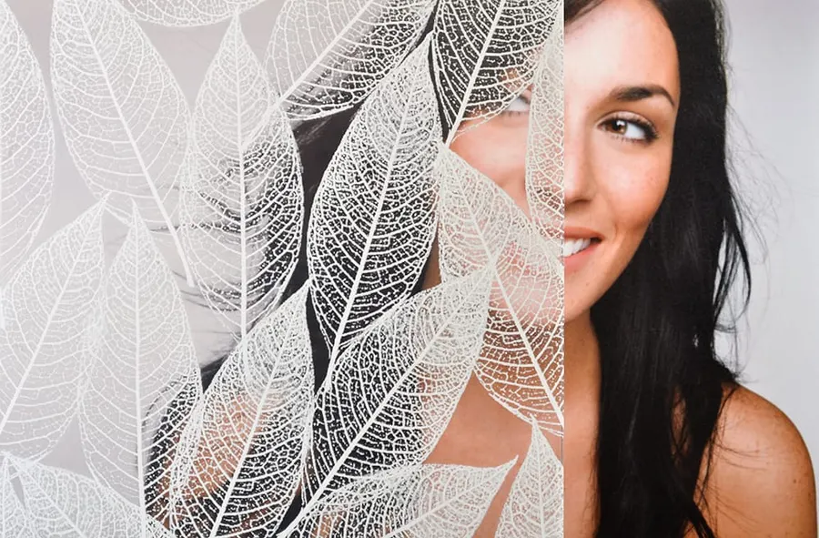 Transparent White Leaf — Nature decorative window film for Calgary glass