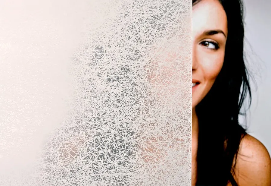 Matte Tumbleweed — Organic decorative window film for Calgary glass